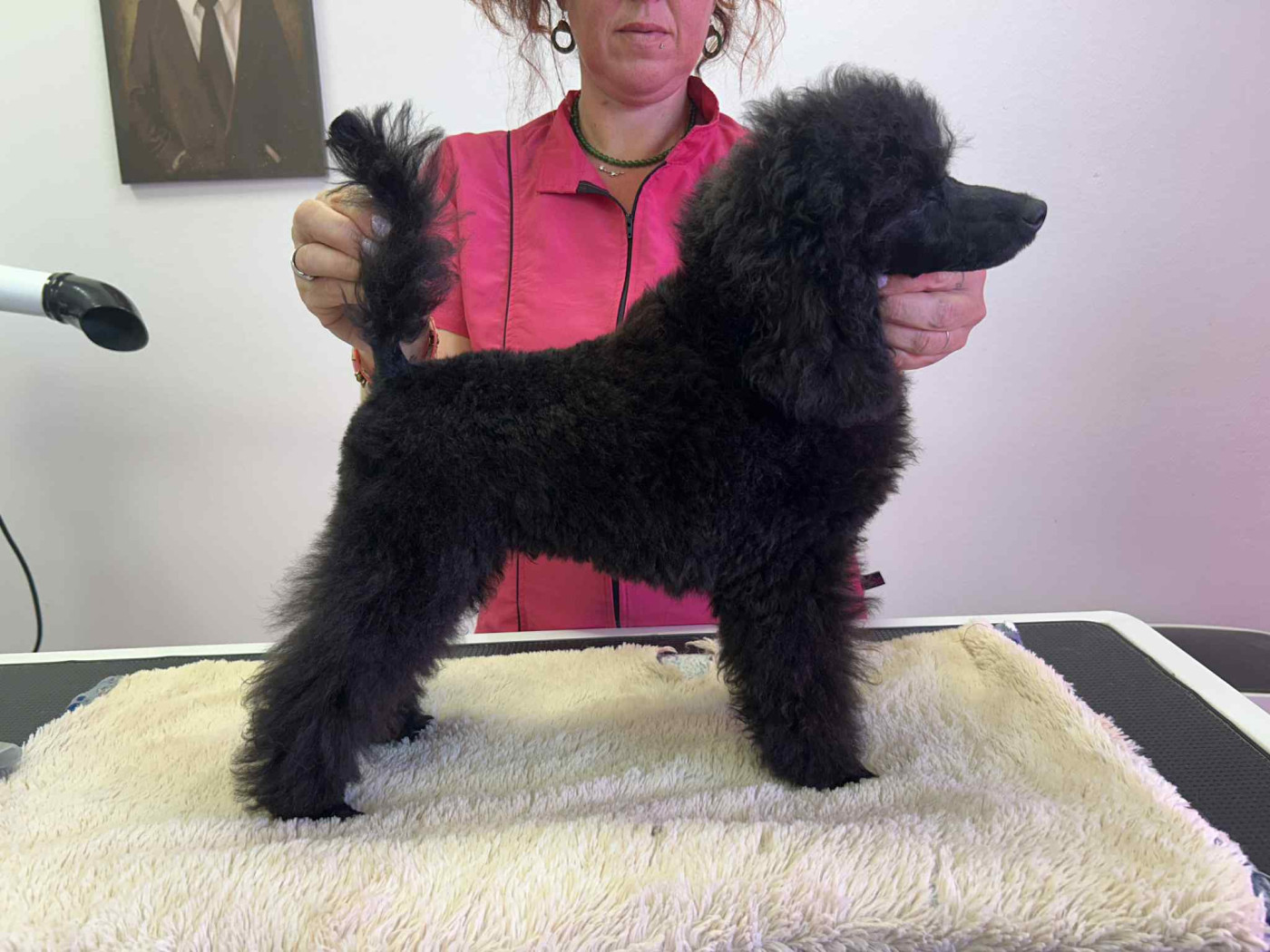 de La Tribu De Jao - Naissance de bébés d'Envie le 24/05/25